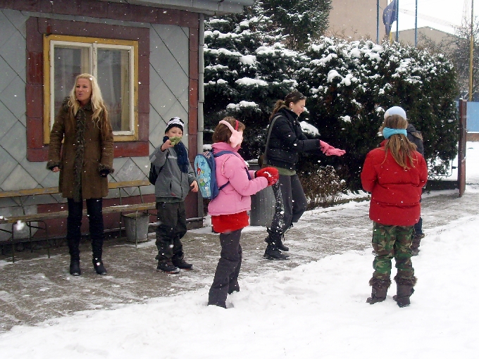 opt_IMG_0012.JPG