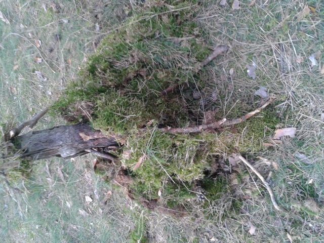 20140322_162217